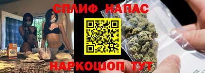 spice Моздок